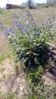 IMG_20100320_231047.jpg