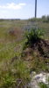 IMG_20100320_231054.jpg