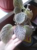 20160514_170806.jpg