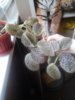 20160514_170619.jpg