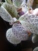 20160514_170626.jpg