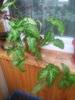 20160514_170735.jpg