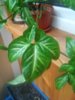 20160514_170658.jpg