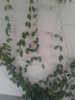 IMG-20160516-WA0000.jpg