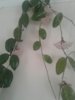 IMG-20160516-WA0001.jpg