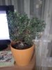 IMG_20160516_223857.jpg