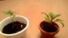 P_20160517_225558_1_p.jpg