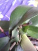 20160326_103428.jpg
