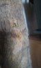 IMG-20160519-WA0000.jpg
