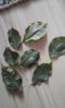 IMG-20160519-WA0002.jpg