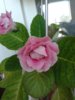 20150608_103103.jpg