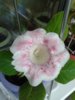 20150524_143202.jpg
