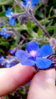 IMG_20100328_054944.jpg