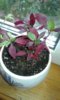 IMG-20160521-WA0000.jpeg