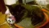 image-d4bebe66ff7fa91b50afb489a40ff5da0e1a29c6528976cacb8cd39e56187045-V.jpg