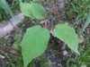 20160527_150237.jpg