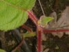20160527_150541.jpg