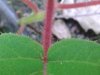 20160527_150503.jpg