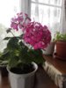 IMG_20160527_175810.jpg