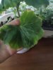 IMG_20160527_175541.jpg