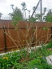 20160527_131136.jpg