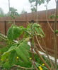 20160527_131212.jpg