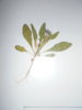 DSCN3659.JPG
