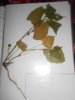 DSCN3661.JPG
