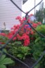 IMAG0624.jpg