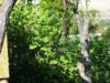 DSC05004.JPG