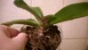 WP_20160530_13_20_07_Pro.jpg