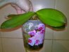 WP_20160530_13_21_13_Pro.jpg