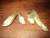 DSC01781.JPG
