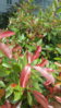 20160605_152511.jpg