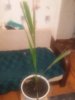 20160607_171255.jpg