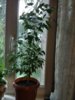 IMG_20160607_184725.jpg