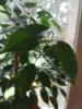 IMG_20160607_184742.jpg