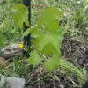 20160603_183101.jpg