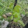 20160603_183132.jpg