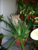 20160608_224414.jpg