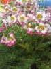 20160613_153354.jpg