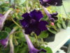 DSC07992.JPG