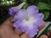 DSC07998.JPG