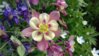 20160610_161634.jpg