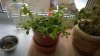 WP_20160623_002.jpg
