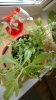 WP_20160623_004.jpg