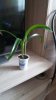 20160625_110624.jpg