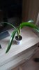 20160625_110615.jpg