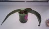 20160626_185317.jpg