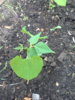 20160626_204504.jpg